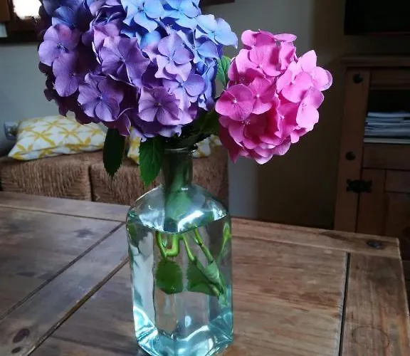 Brisas Appartement Canedo (Galicia)