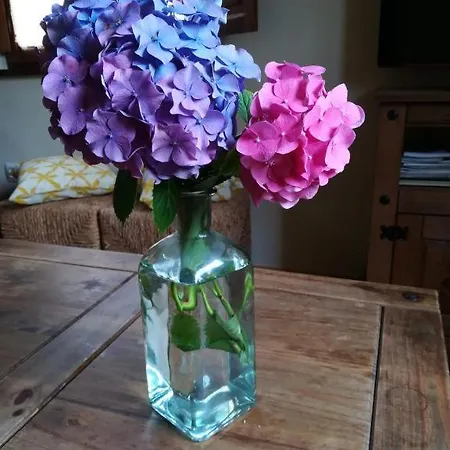 Brisas Daire Canedo (Galicia)